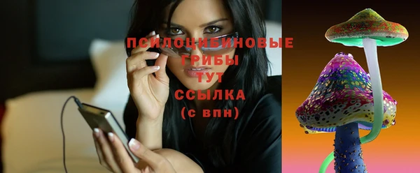дмт Алексеевка
