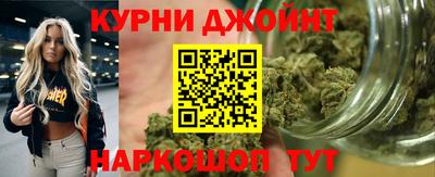 дурь Кингисепп