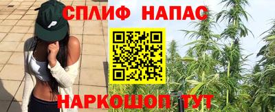 дурь Кингисепп