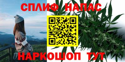 дурь Кингисепп