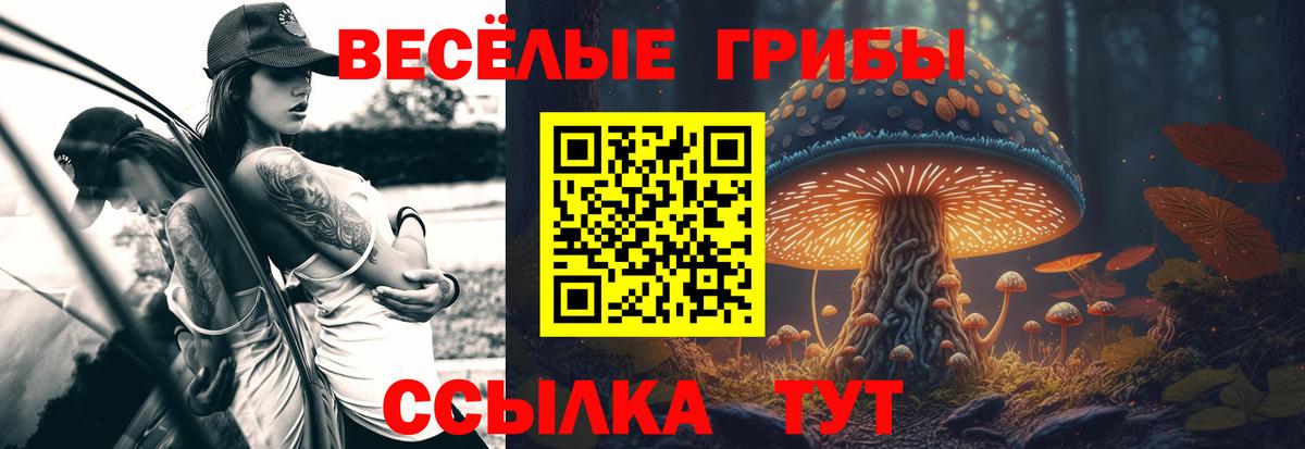 Псилоцибиновые грибы Psilocybe  Вход с VPN  Псилоцибиновые грибы Psilocybine cubensis  Миасс 