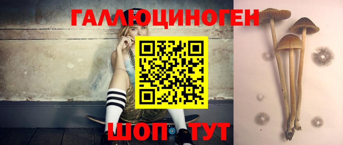 Галлюциногенные грибы Psilocybine cubensis Миасс